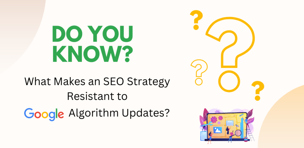 Optimizing SEO Strategy in Response to Algorithm Updates