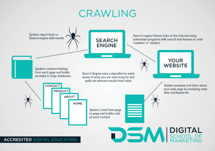 How Do Search Engines Work?